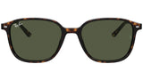 Leonard RB2193 tortoise