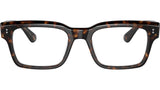 Hollins OV5470U tortoise