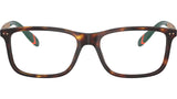 PH2273 6137 Brown Tortoise