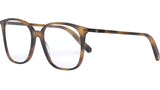 Mini CD O S1I Havana Square Eyeglasses