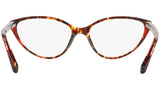 3081 004 tortoise