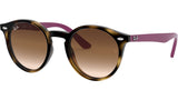 8053672880267_2.jpg