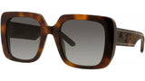 WilDior S3U Havana Geometric Sunglasses
