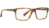 3065 003 brown