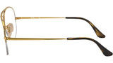 Aviator Gaze Optics RB6589 2500