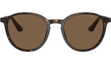 AR 8196 502673 Tortoise