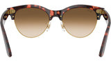 8056262413074_7.jpg