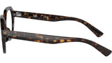 Gina Optics RB7214 2012