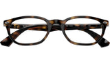 RY1599 3685 Tortoise