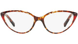 3081 004 tortoise