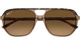 Bill One RB2205 1292M2 Havana Brown