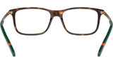 PH2273 6137 Brown Tortoise