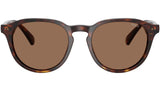 PH4221 613773 Brown Tortoise