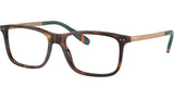 PH2273 6137 Brown Tortoise