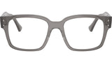 Laurene Optics RB7256 8431