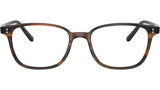 Maslon OV5279U brown