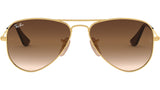 Aviator RJ9506S 223/13 arista