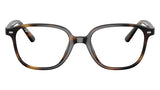 RY9093V 3685 Tortoise