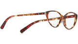 3081 004 tortoise