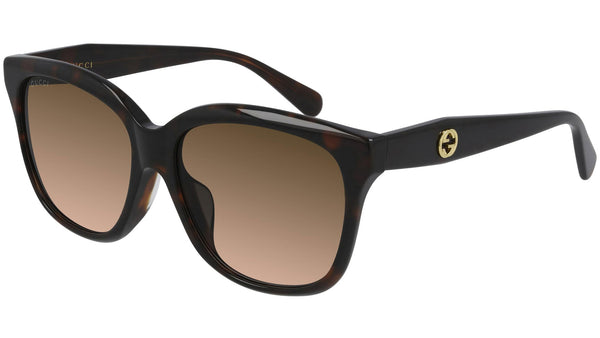 GG0800SA 003 brown tortoise