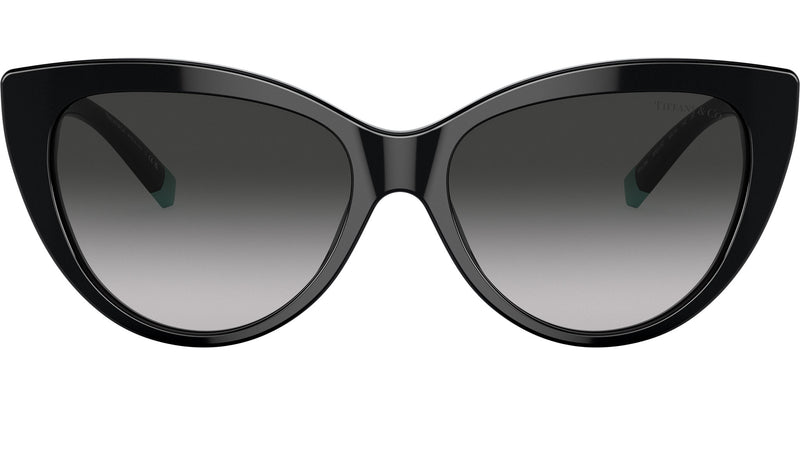 TF4196 80013C Black