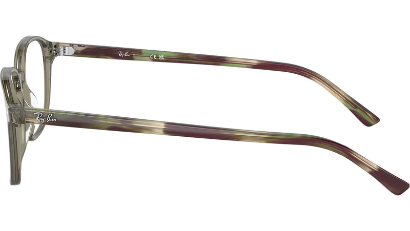 Leonard Optics RB5393 8178