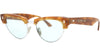 Cat-Eye Tortoise Cat Eye Sunglasses