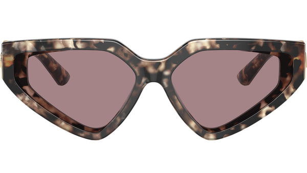 DG 4469 34387N Havana Brown Purple