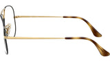 Aviator Optics RB6489 3177