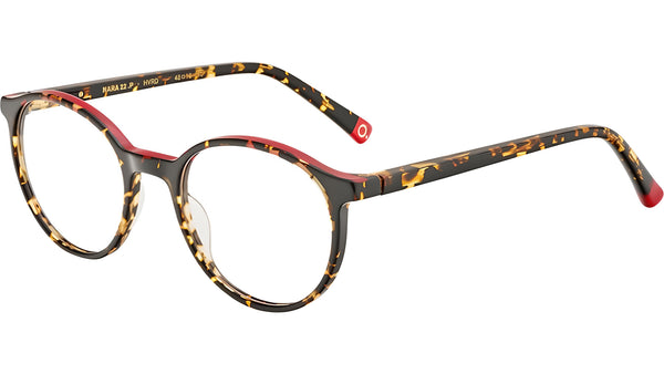 NARA HVRD Tortoise