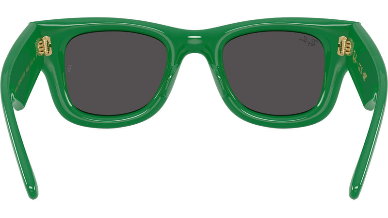 Wayfarer Puffer RB4940 683487