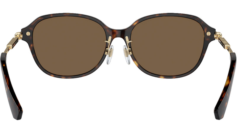 BE4429D 300273 Dark Havana