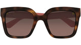 GG2190S 005