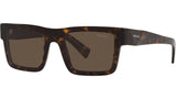 PR 19WS tortoise