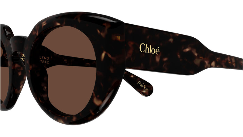CH0311S 002
