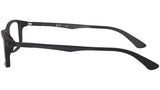 RB7017 Optics 5196