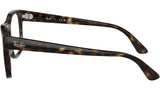 RB7228 Optics 2012