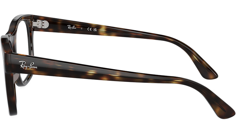 RB7228 Optics 2012