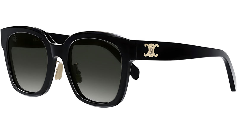 CELINE Triomphe CL40222F 01A