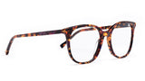 Youthful Energy Thin Havana Square Eyeglasses
