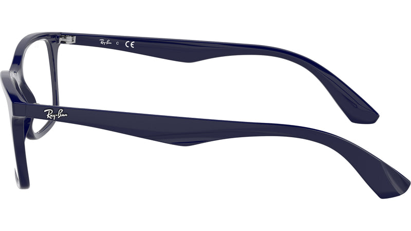 RB7047 Optics 8100