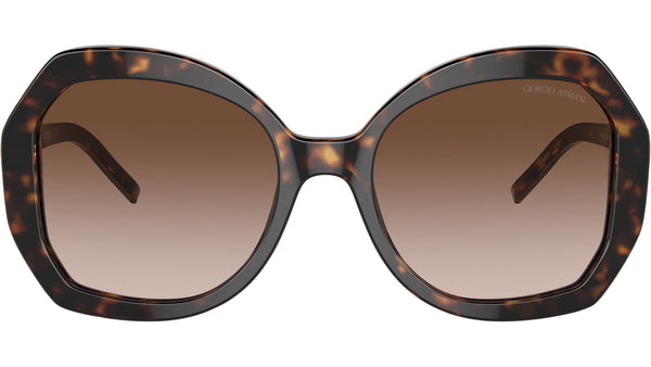 AR 8180 502613 Tortoise