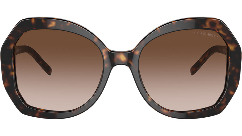 AR 8180 502613 Tortoise