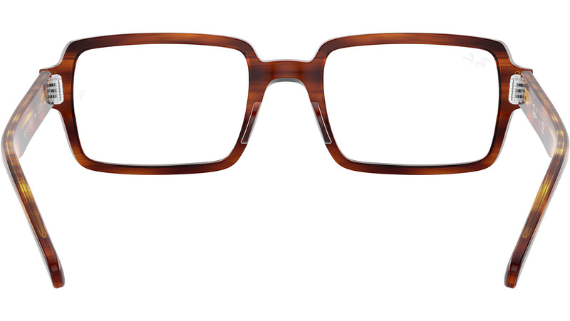 Benji Optics RB5473 2144