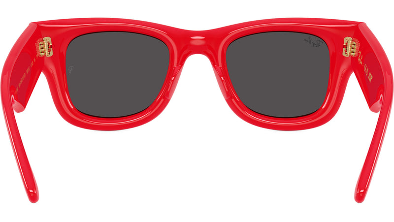 Wayfarer Puffer RB4940 683187