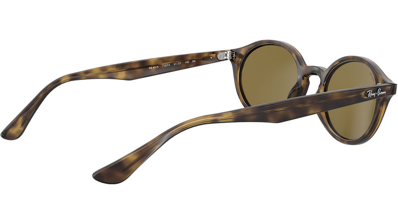 RB4315 710/73 tortoise