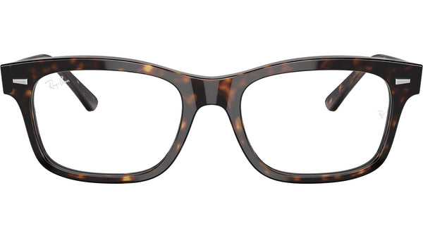 Mr Burbank Optics RB5383 2012