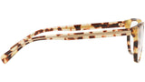 DG 3338 512 tortoise