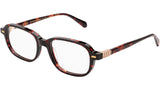 OLAN Classic Havana