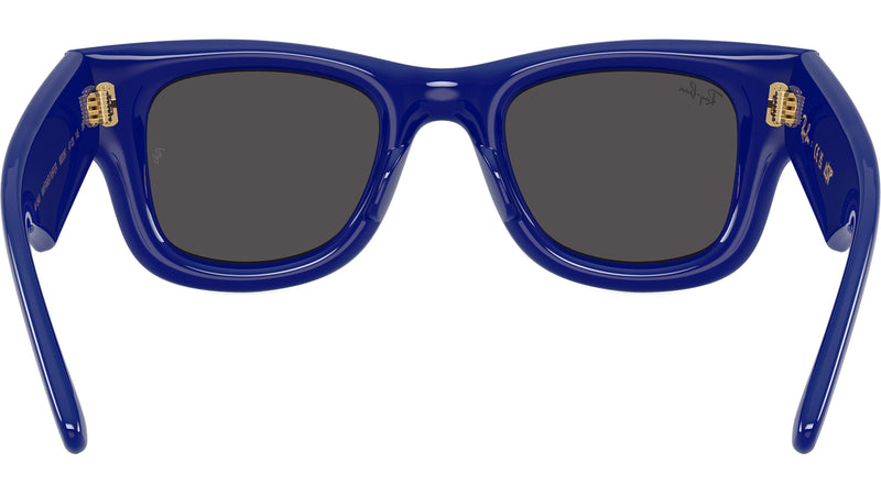 Wayfarer Puffer RB4940 683387